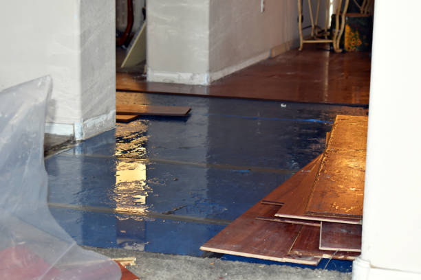 Professional Sewage Cleanup technician working in Honor, MI